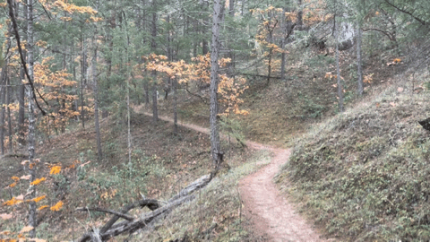 VideoToGif_GIF 34.GIF