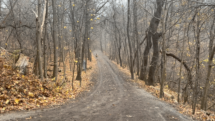 VideoToGif_GIF 48.GIF