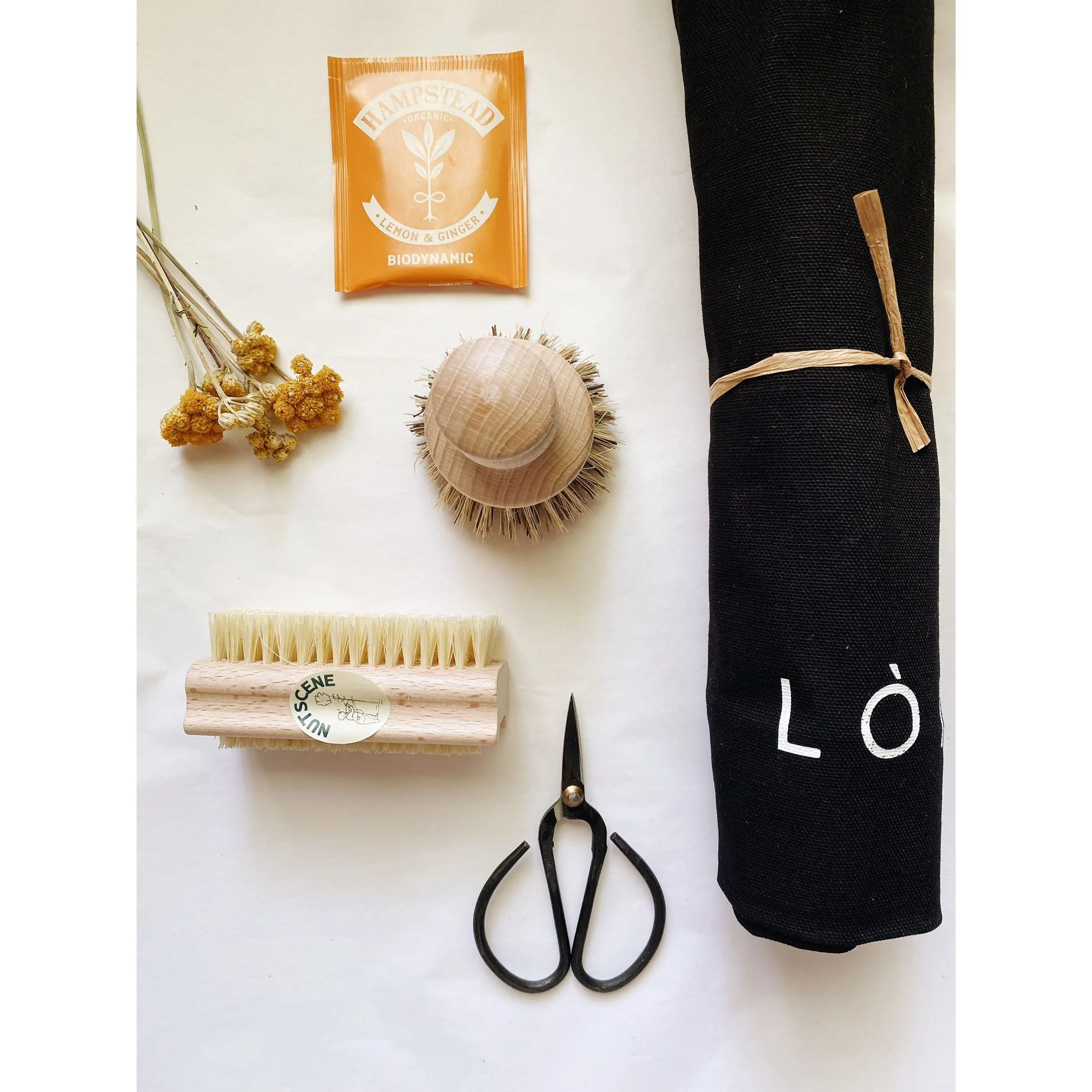 PHOTO-2025-05-06-11-16-48 2.jpg