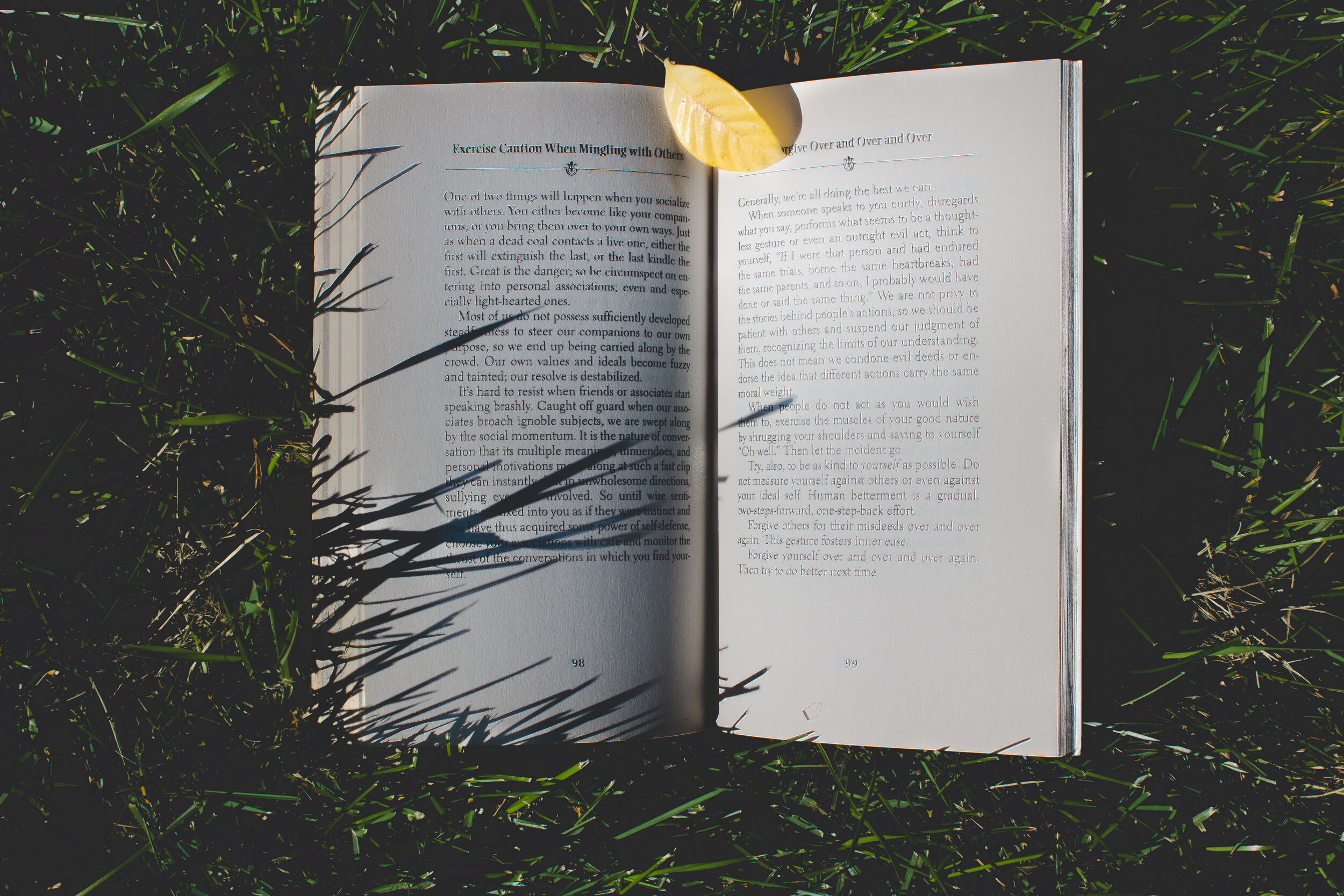 Reading on the grass