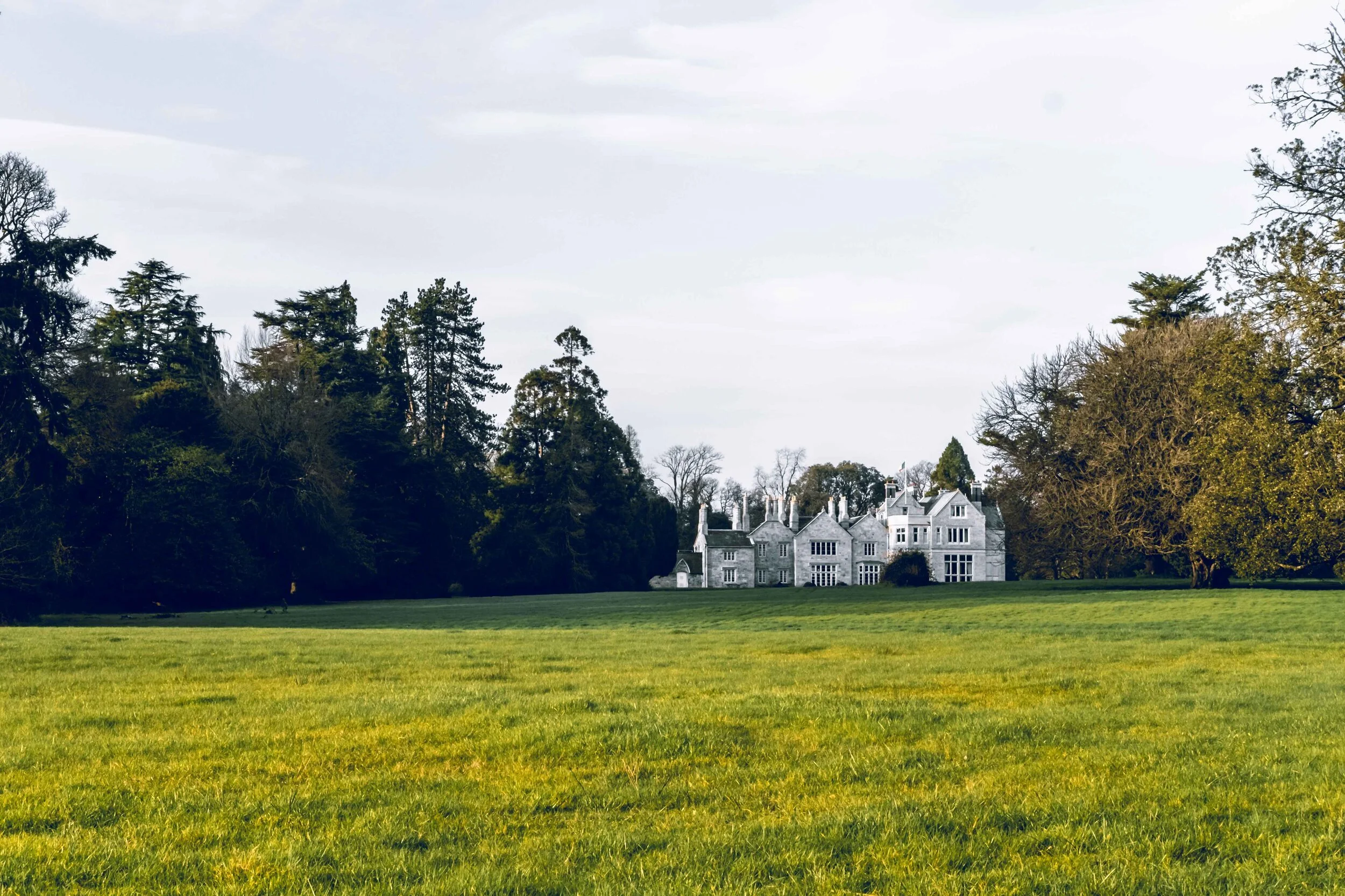 Lough Rynn Castle.jpg