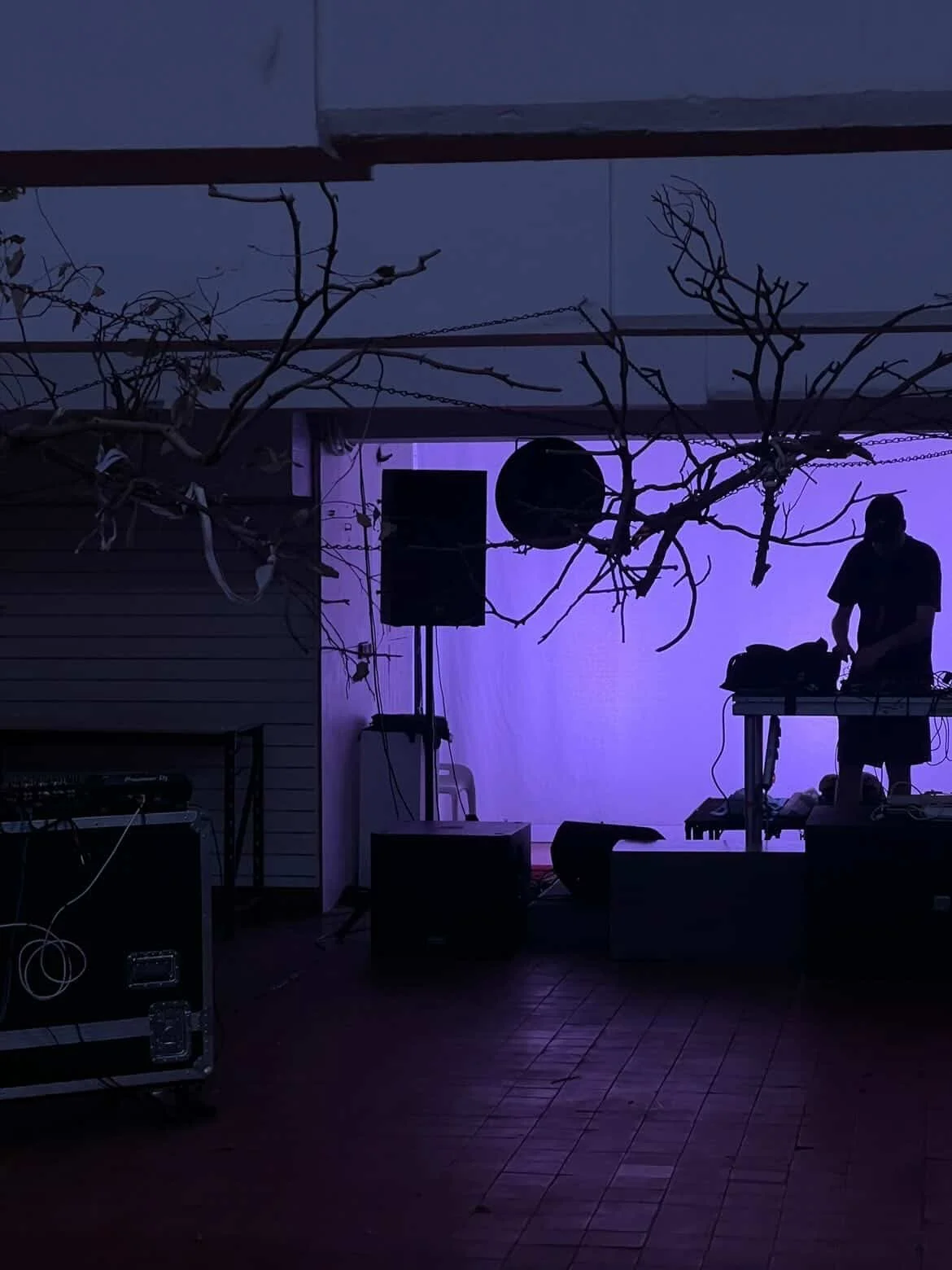 A silhouette of a person standing behind a DJ booth with purple lighting, outdoor setting with leafless branches overhead, speakers and audio equipment visible.