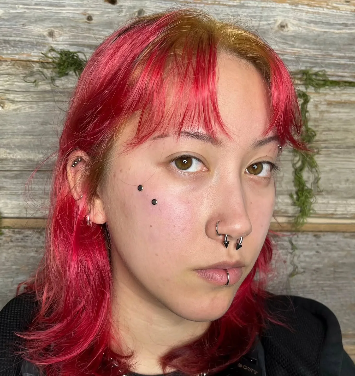 This anti-eyebrow
Titanium and steel that
Feeds the hungry fire
Fresh Anti-eyebrow piercing by Clay

#supernaturalbodypiercing #kcmo #kcmopiercing #safepiercing #legitbodyjewelry #surfacepiercing #antieyebrow