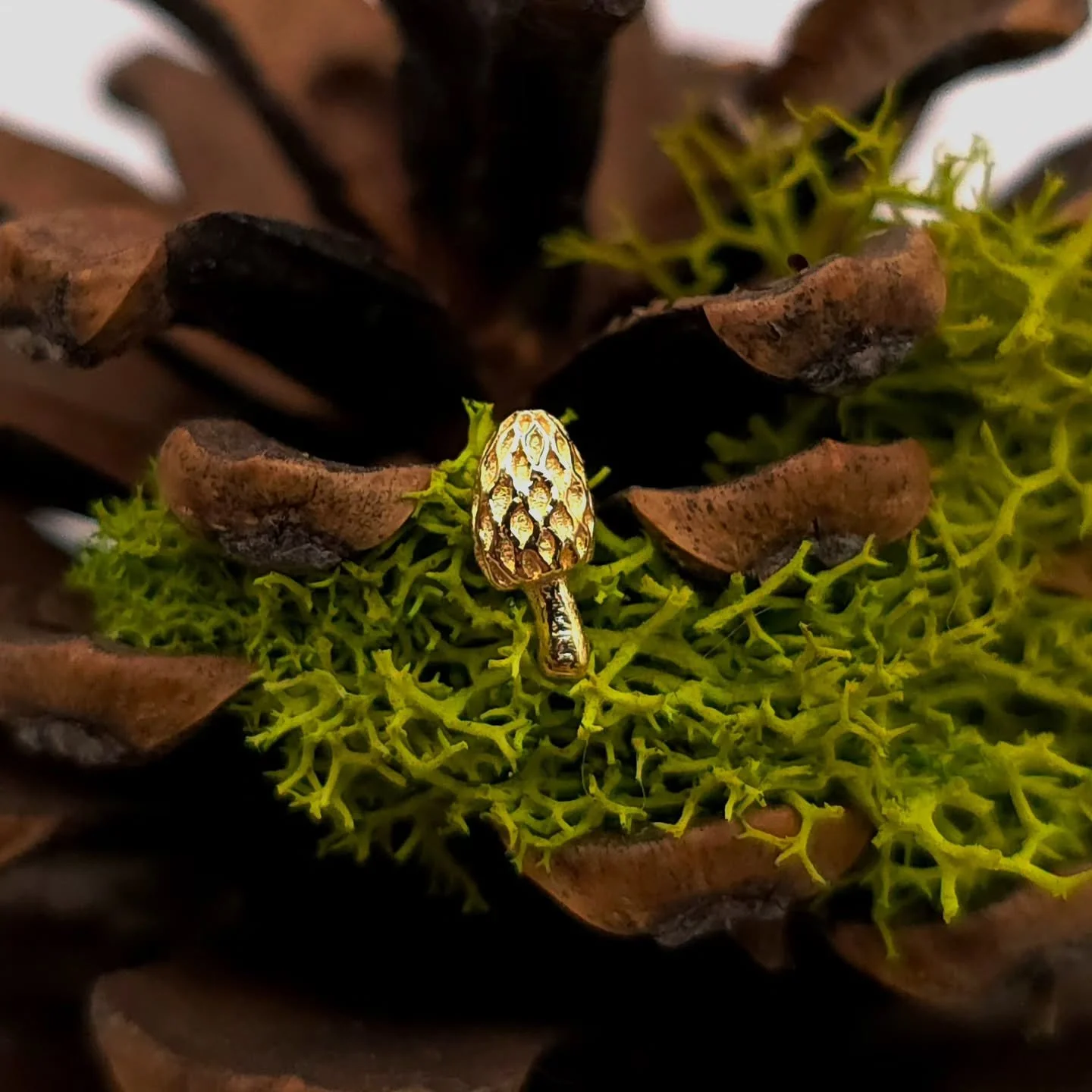 We just got in this adorable new mushroom end from anatometal! 

#safepiercing #legitbodyjewelry #supernaturalbodypiercing #kcmo #kcmopiercing #anatometal #mushrooms #yellowgold #cottagecore