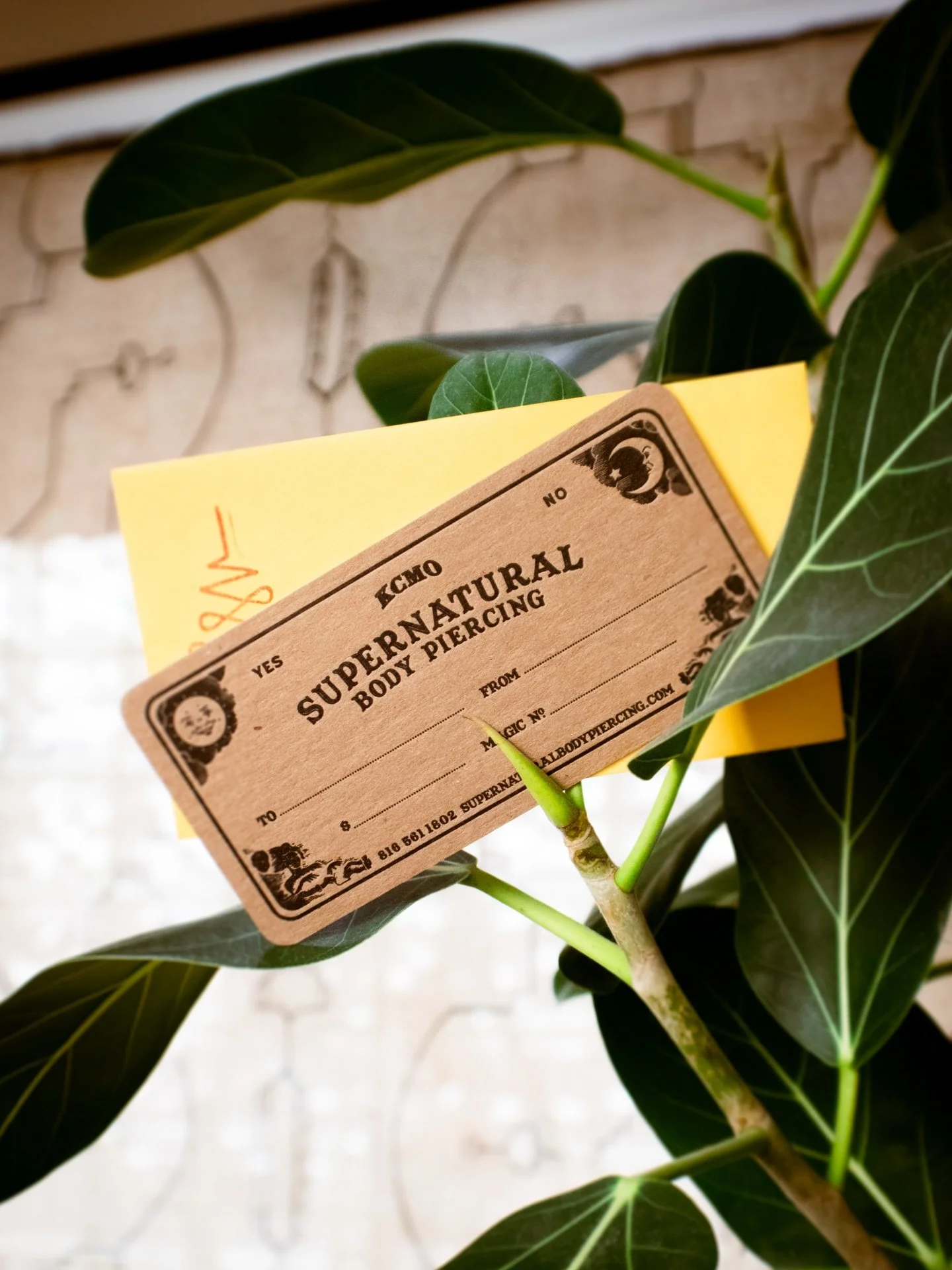 Need a last minute gift? 

Swing by for a gift card! 

#safepiercing #kcmo #kansascity #legitbodyjewelry