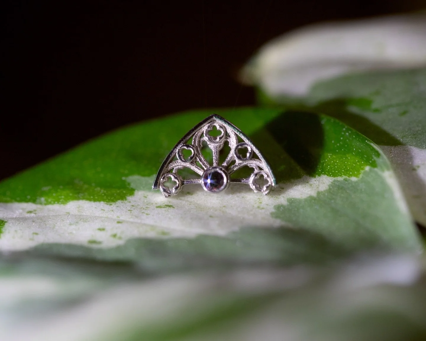 For when you take decorating your temple seriously. 

Got this and some other gorgeous new pieces in from @m.us.hroom this week! Come check them out!

Supernatural will be closing at 4pm on December 31st! Thanks for another great year!

#safepiercing