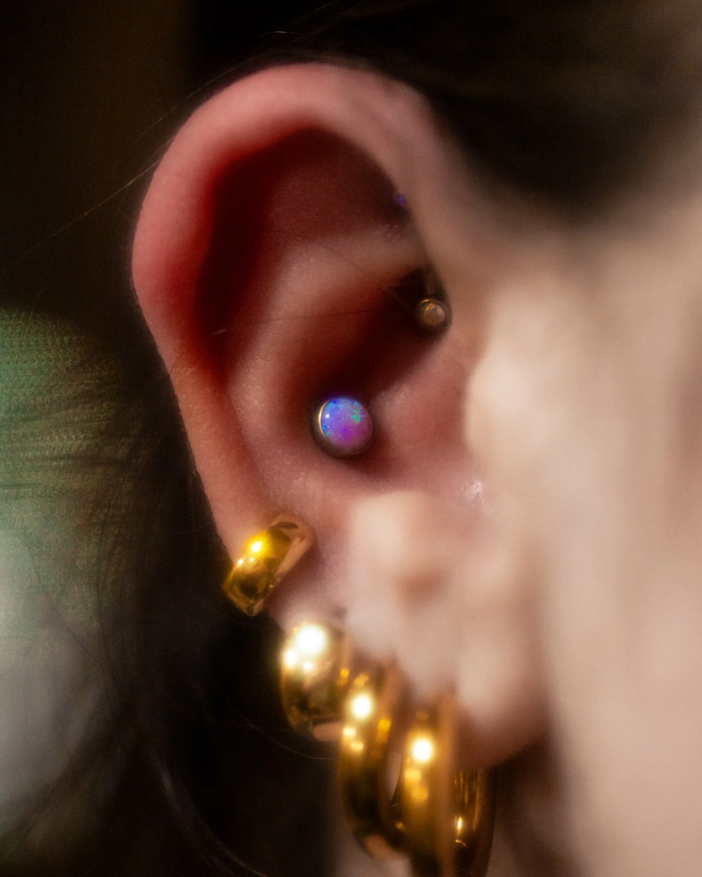 Staunch supporters of conch decor, over here! 👋 

Fresh conch piercing by Mars - @pokeystuff_ 

Jewelry by @neometaljewelry, anodized in-house. 

#safepiercing #legitbodyjewelry #conchpiercing #neometal
