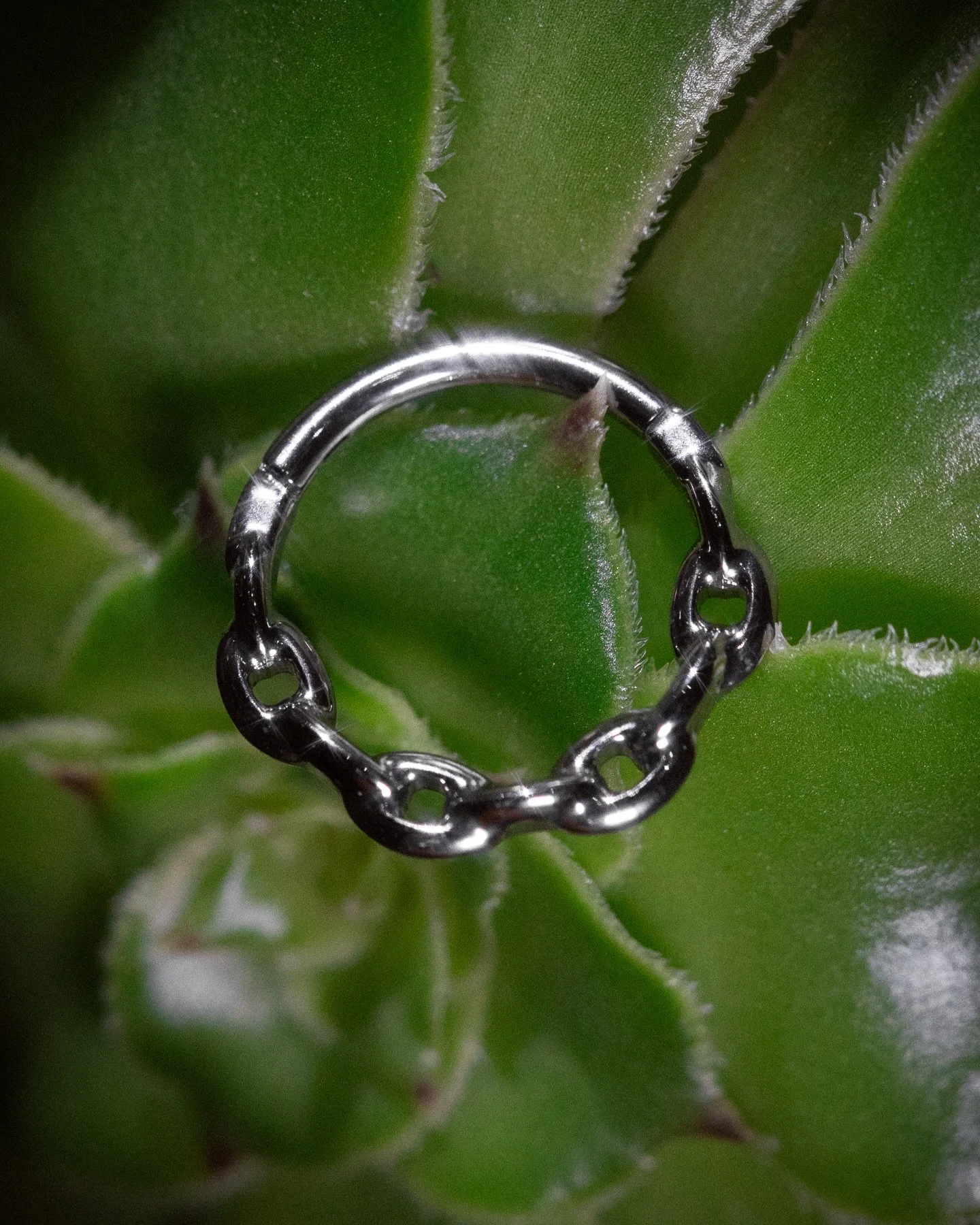 Need a new clicker? 

We have many to choose from, including this shiny titanium one from @diablo_organics. 

#safepiercing #legitbodyjewelry #titanium #clicker