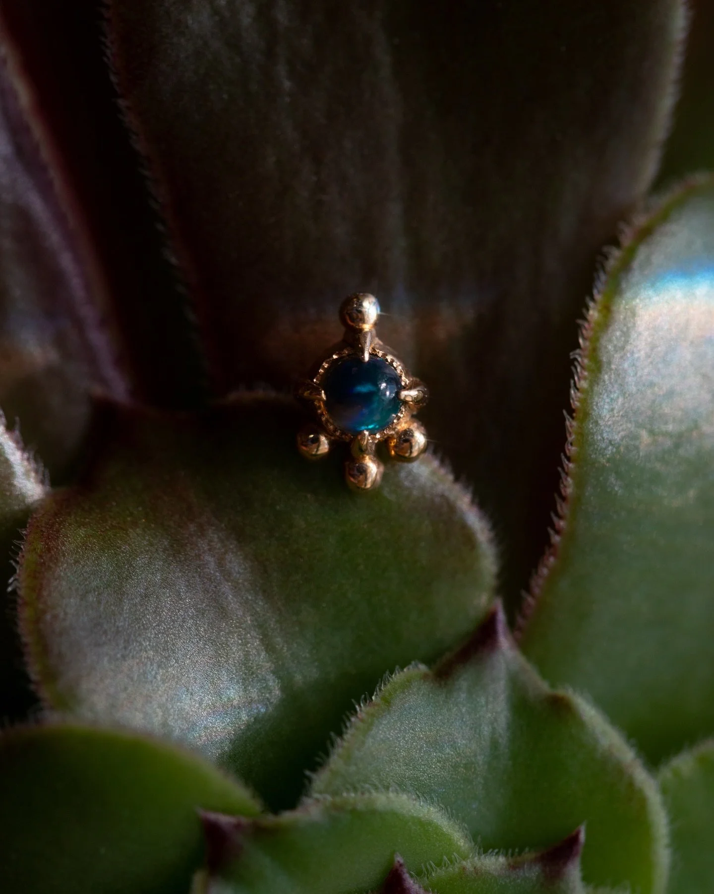 This little one will RAZZLE and DAZZLE anywhere you put it! 

Genuine black opal set in yellow gold from @kiwi.jewelry and threaded for 18g or 16g piercings. 

#safepiercing #legitbodyjewelry #yellowgold #blackopal #piercing