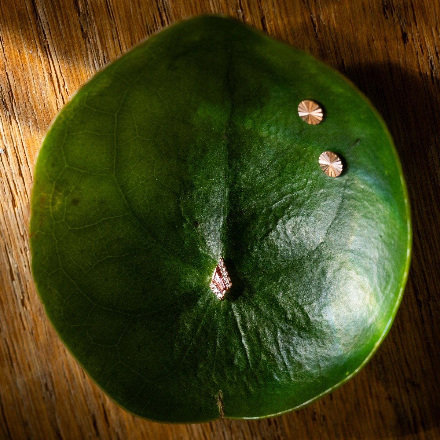 These little cuties from @buddhajewelryofficial would look so good in so many spots!

#safepiercing #rosegold #gold #legitbodyjewelry