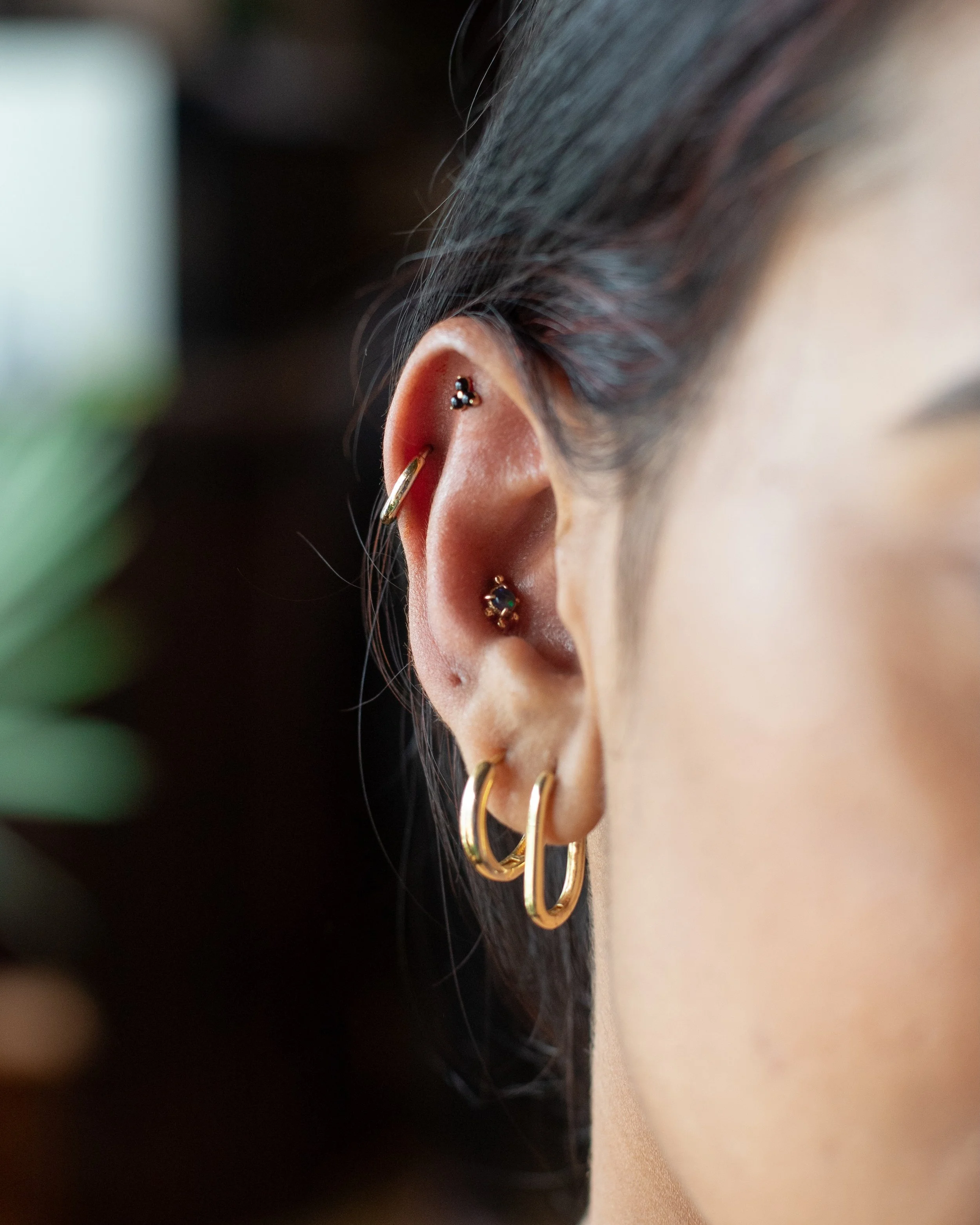 Clay fancied-up this ear with a fresh conch and flat piercing this week! 

#safepiercing #legitbodyjewelry #conchpiercing #flatpiercing