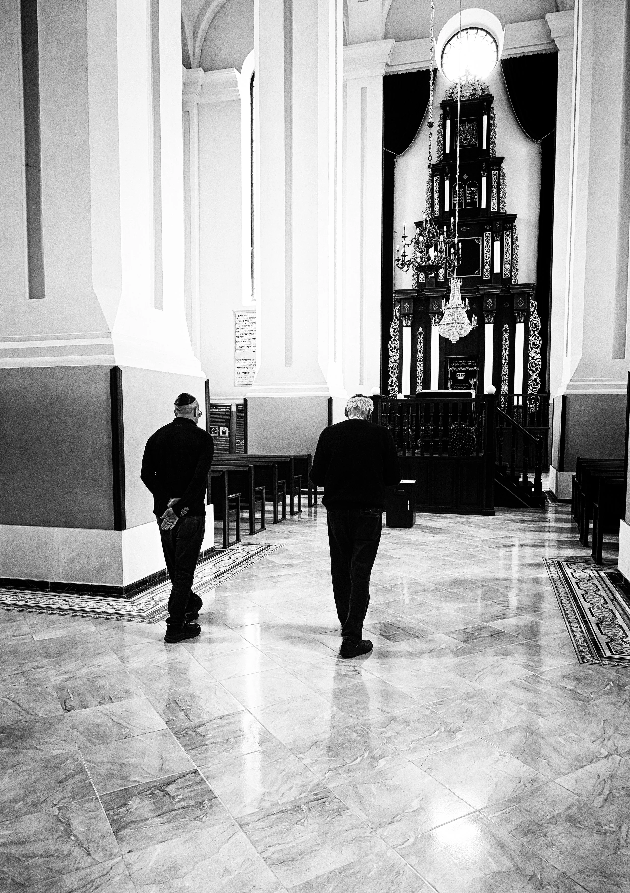 Alan Josh Choral Synagogue Drohobycz.jpg 1.jpg