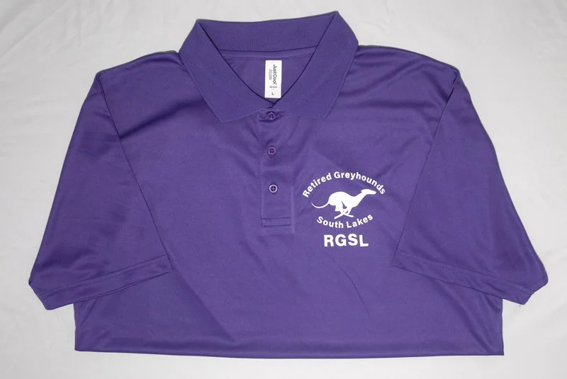 9017 - Purple Polo Shirt (MEDIUM)