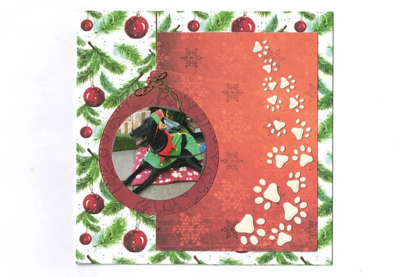 c0161_baubles_greyhound_xmas_card_800.jpg