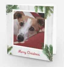 'Major' Christmas Card (pack of 5)