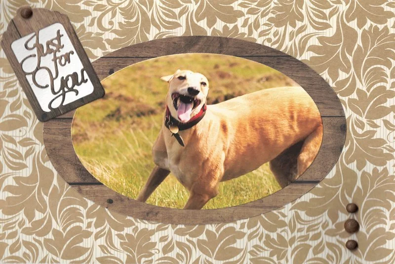 C0127 - Just for you  (210 mm x 150 mm)