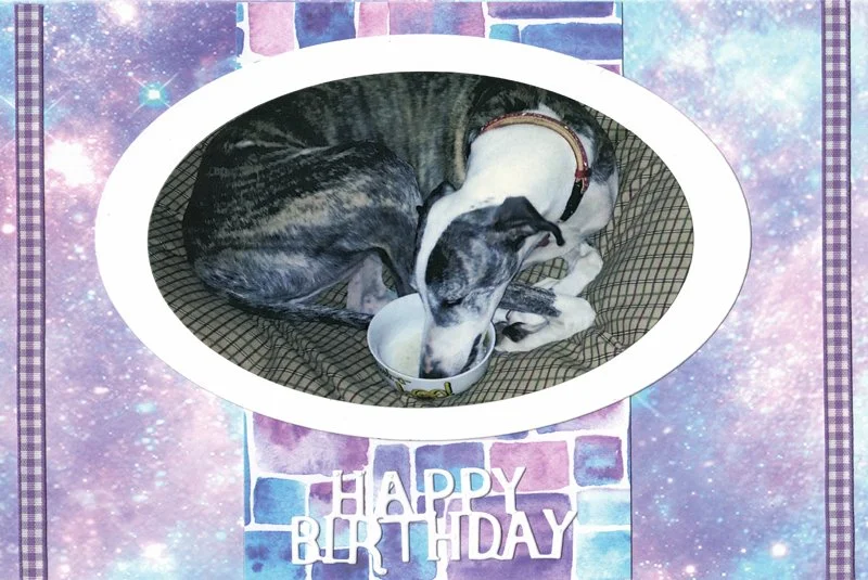 C0024_happy_birthday_greyhound_card.jpg