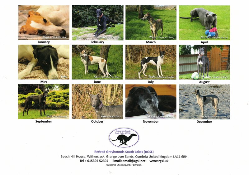 0_2027_greyhound_calendar_back_page.jpg