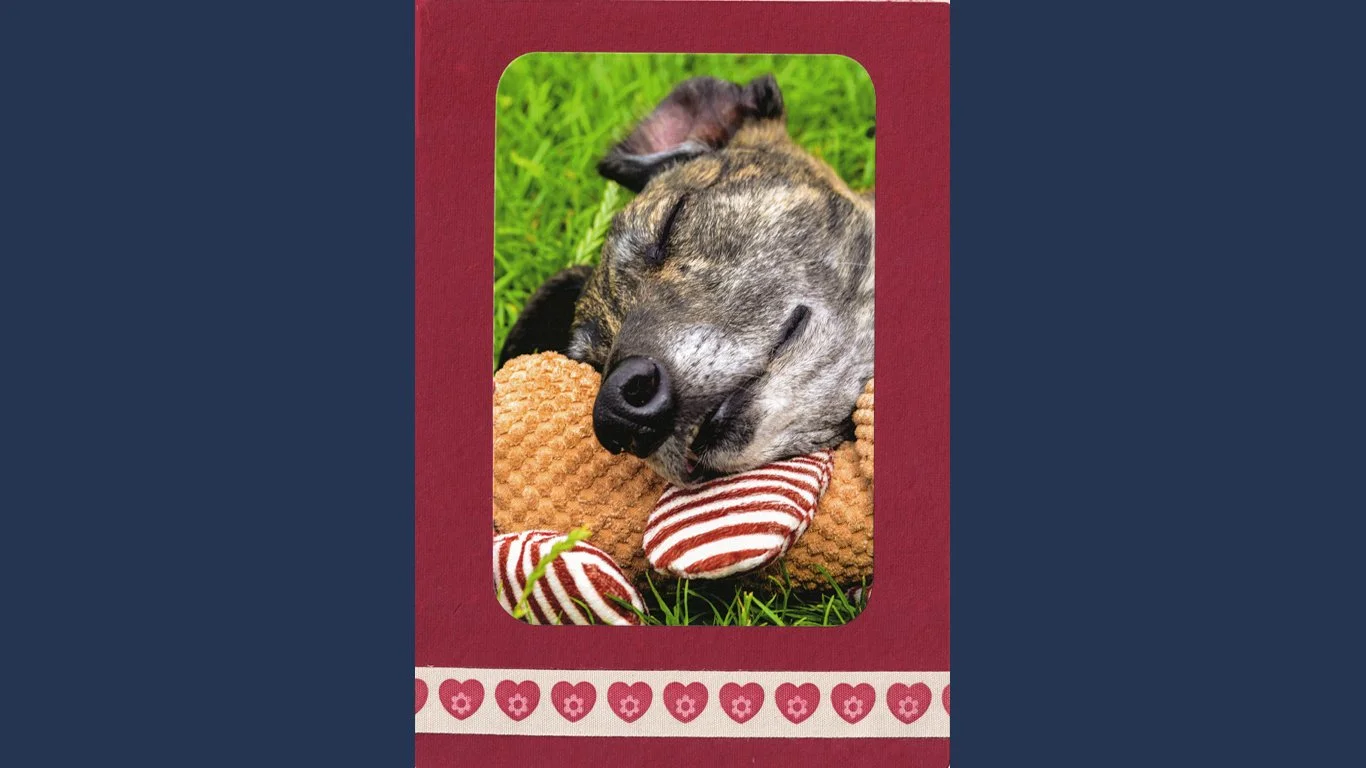 C0144 - Sleeping Brindle Greyhound (150 mm x 210 mm)