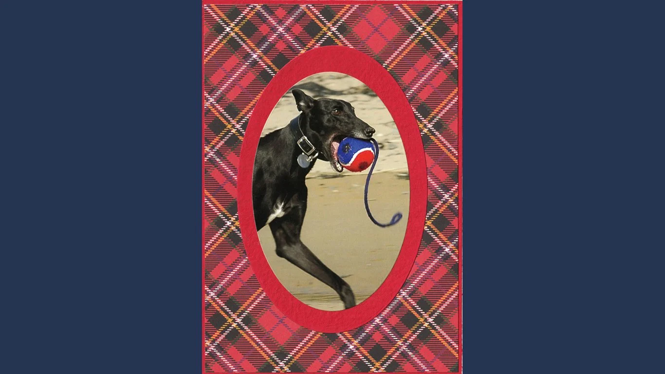 C0154_black_ball_greyhound_card.jpg