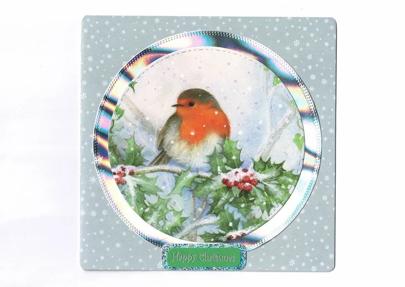 C0125 - 10 assorted Xmas Robin cards