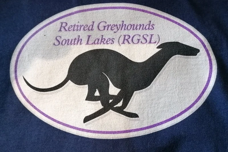 rgsl_logo_navy_tee_shirt.jpg (Copy) (Copy)