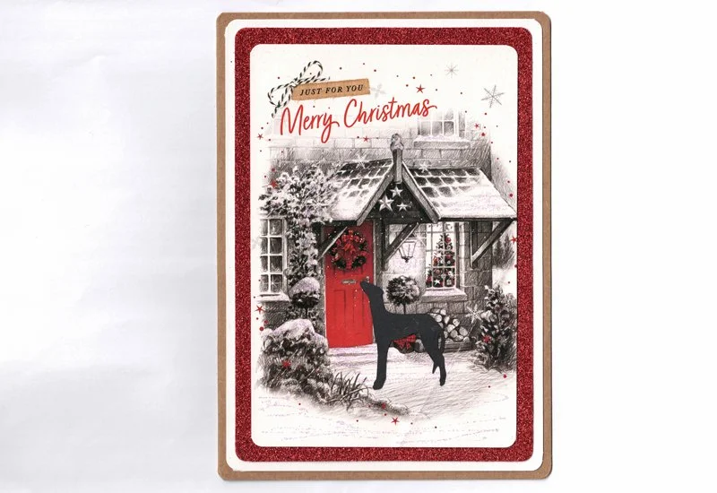 greyhound_front_door_of_house_800.jpg