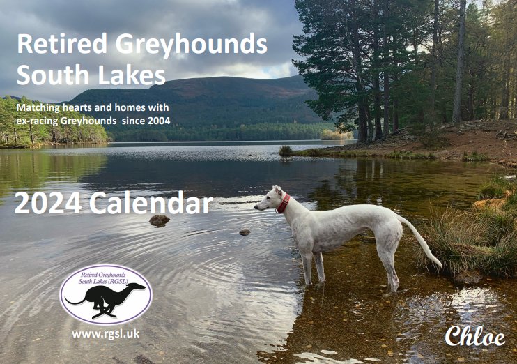 2024 Greyhound Calendar — Retired Greyhounds South Lakes