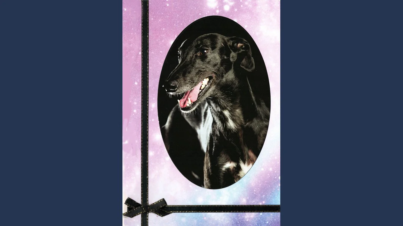 C0143_black_greyhound_card.jpg