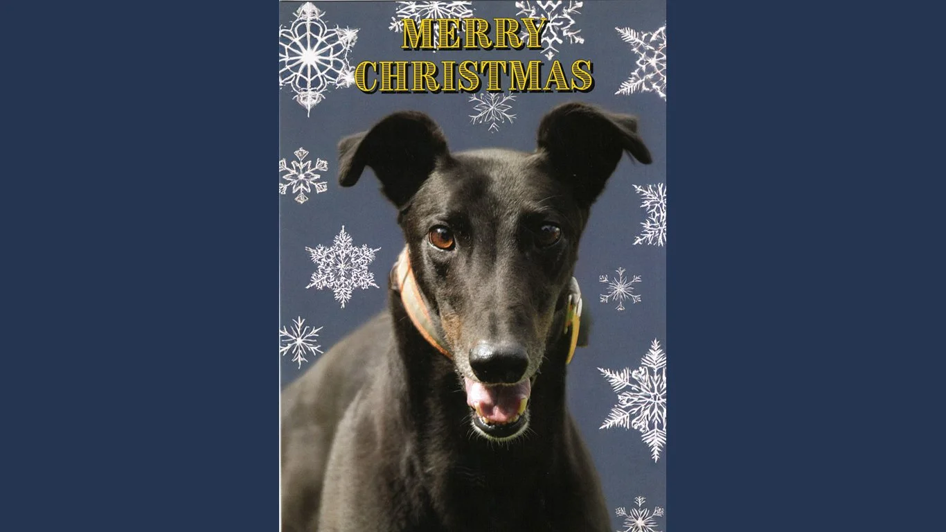 c0100_black_greyhound_xmas_card.jpg