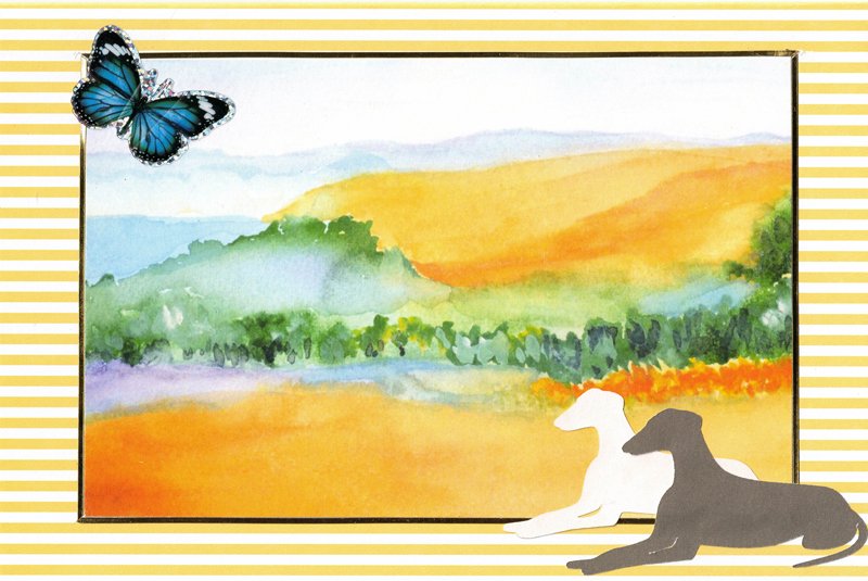 C0138_blank_notelet_butterfly_card.jpg