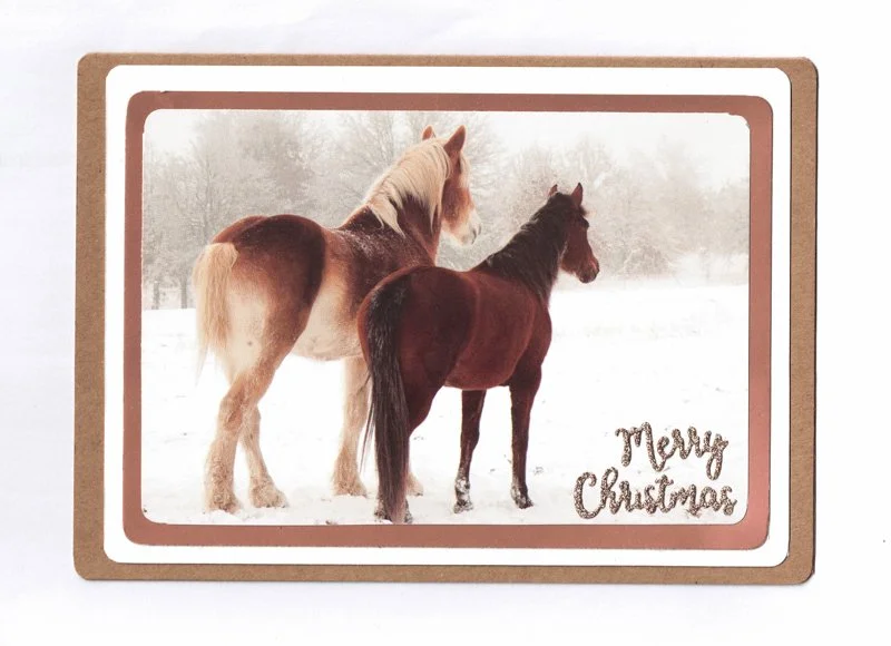 horses_in_snow_800.jpg