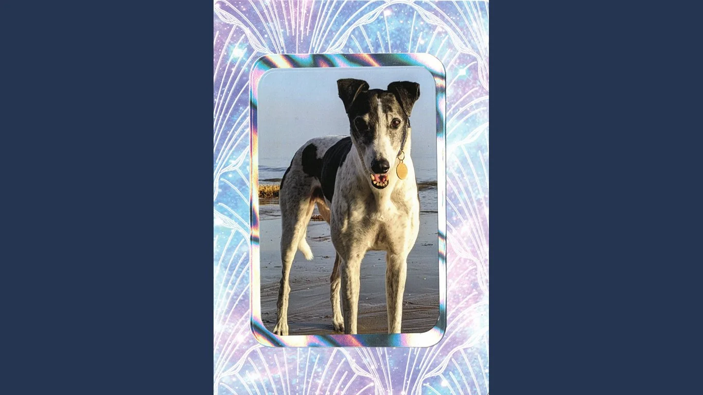 C0153 - Greyhound on beach (150 mm x 210 mm) (Copy)