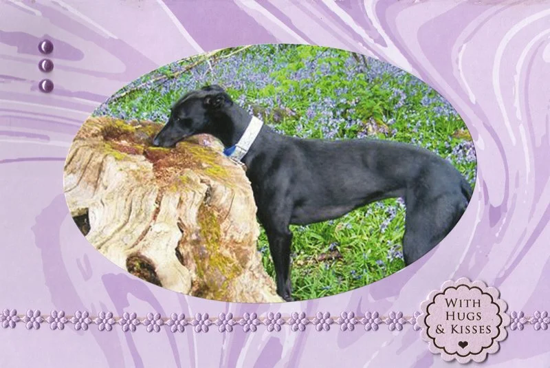 C0026_hugs_kisses_greyhound_card.jpg