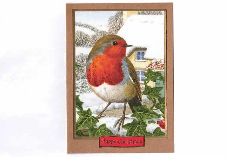 robins_in_hawthorn_tree_800.jpg