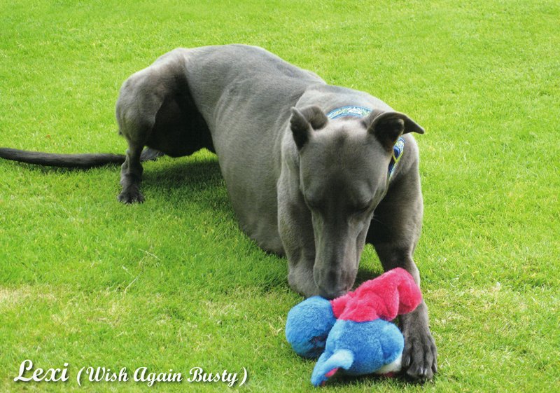 04_April_2027_greyhound_calendar_800.jpg