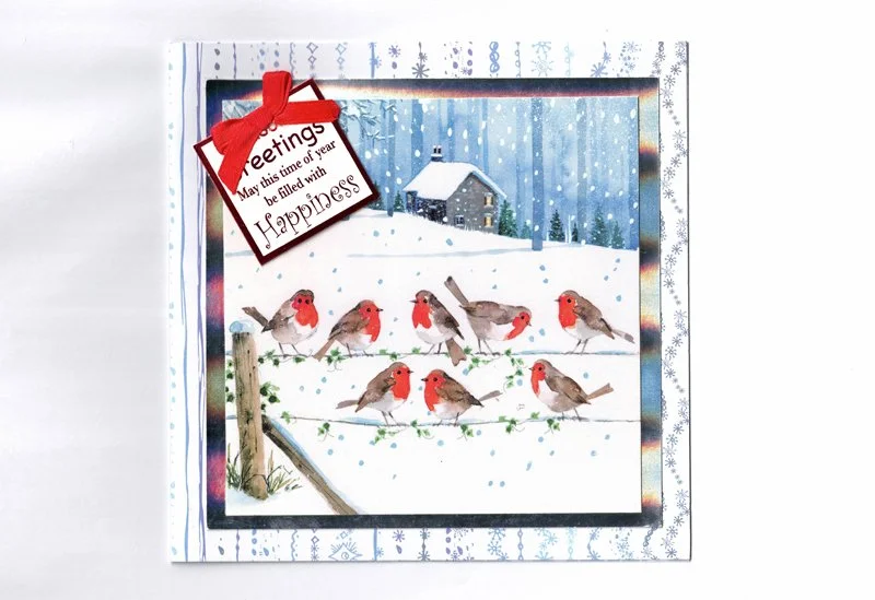 robins_on_fence_snowing_800.jpg
