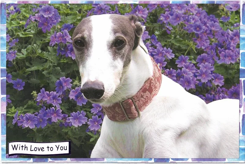 C0120 - With Love (210 mm x 150 mm)