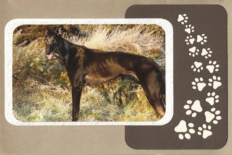C0130_blank_black_greyhound_card.jpg