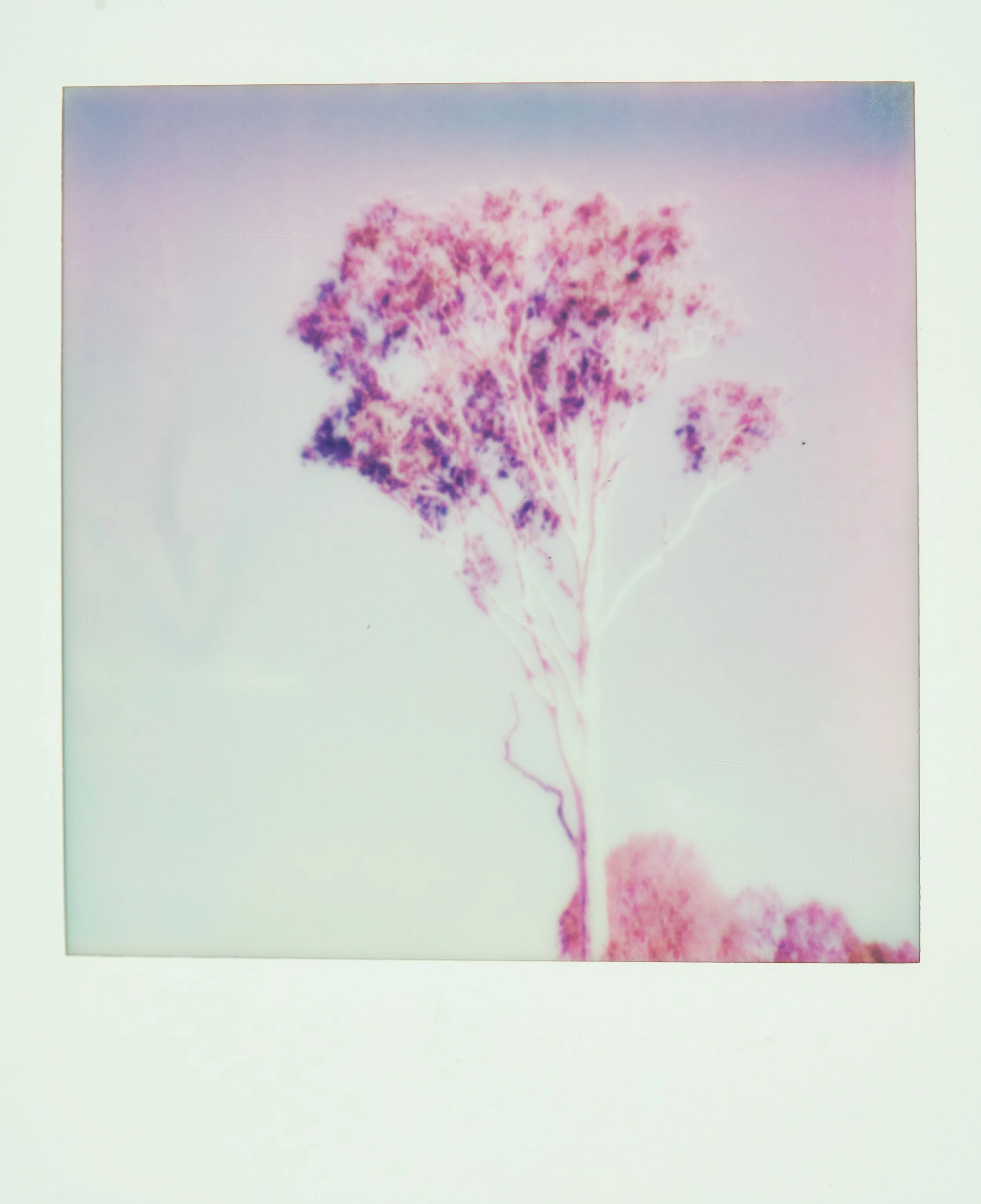 Lisa Kurtz_Toogoolawah_Queensland_2026.jpg