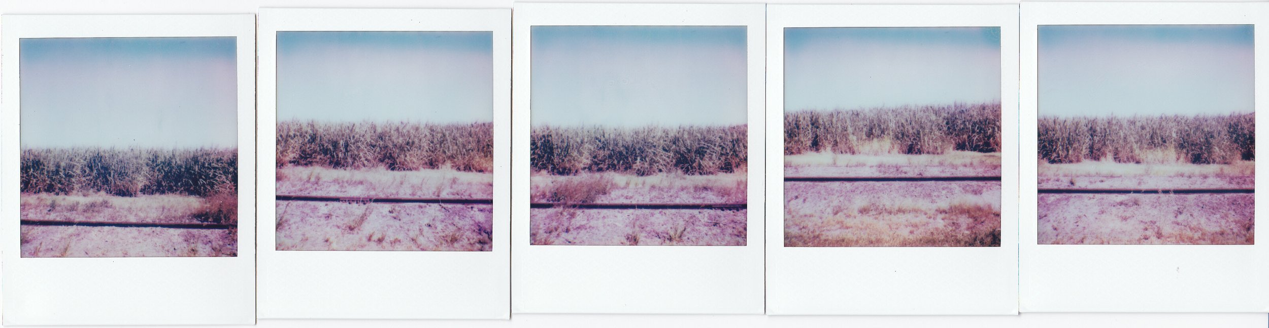 Polaroids