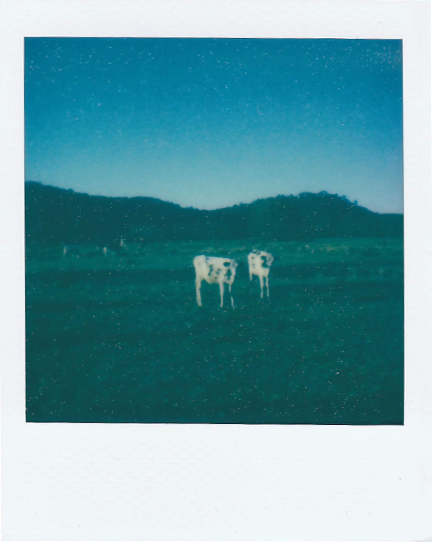 Shoalhaven polaroid, 2024.jpg