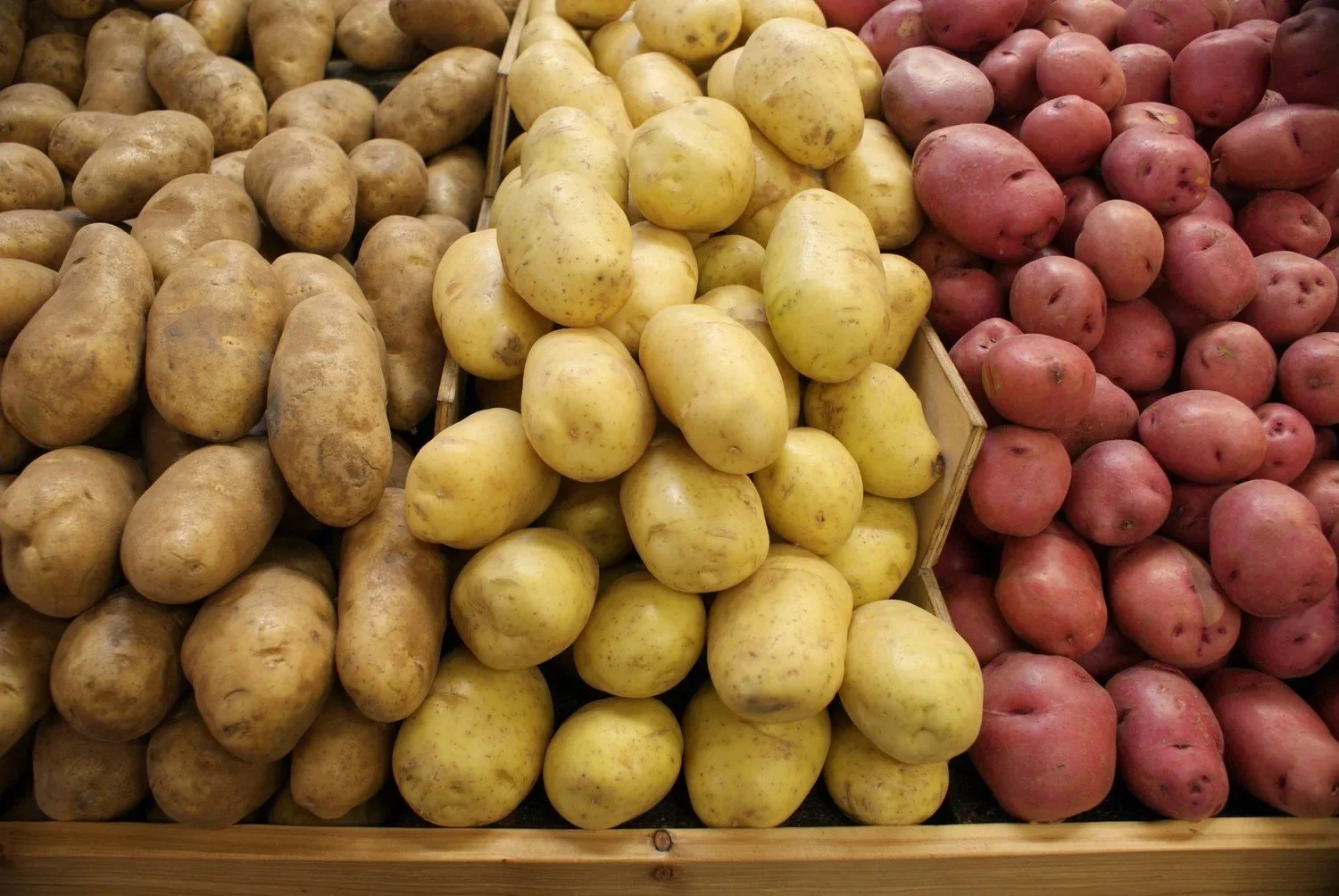 Potato Day – 19 August
