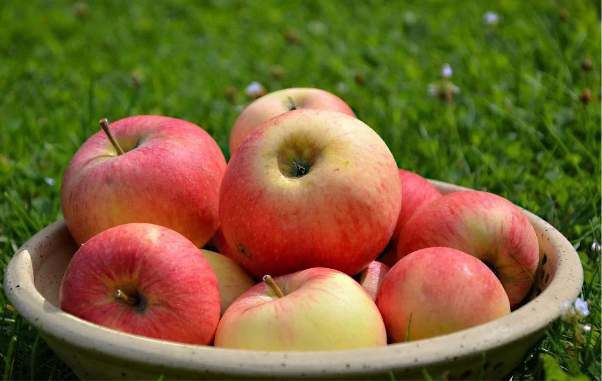 International Eat An Apple Day – 19 September