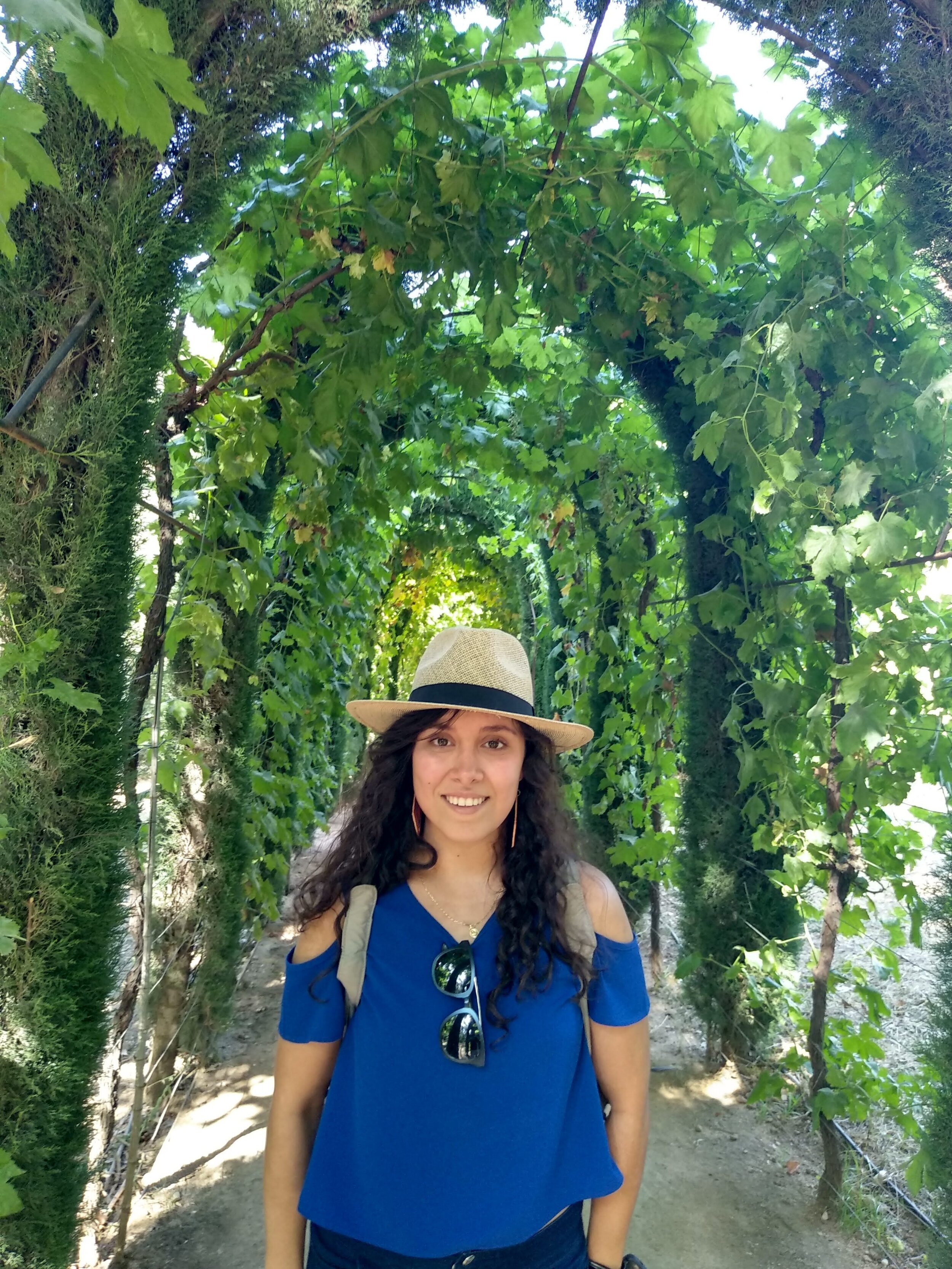 Daniela Fernández Leal