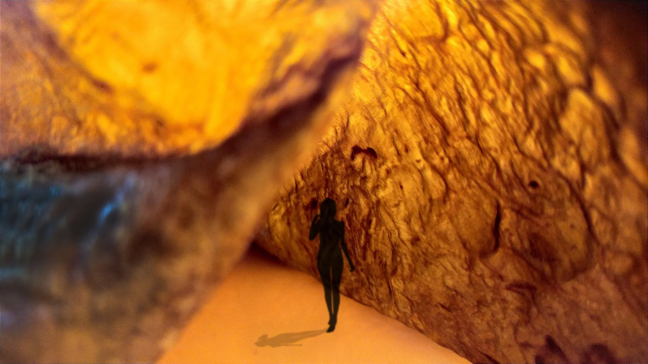 UTERINE ARCHITECTURAL SPACES | Selenia Marinelli