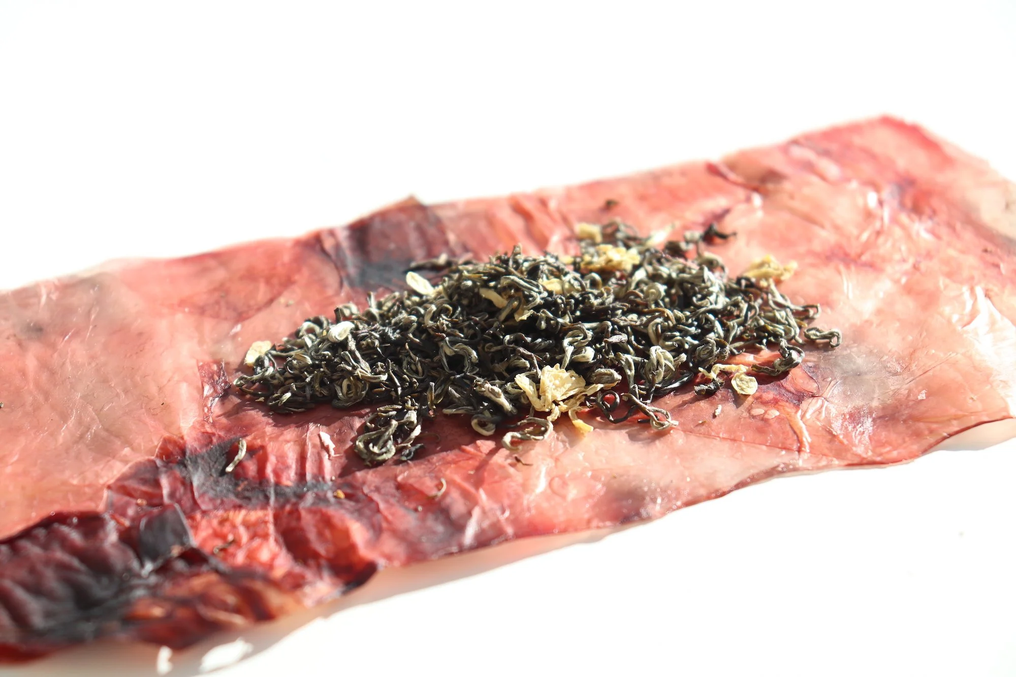 Bio Art &amp; Design Track