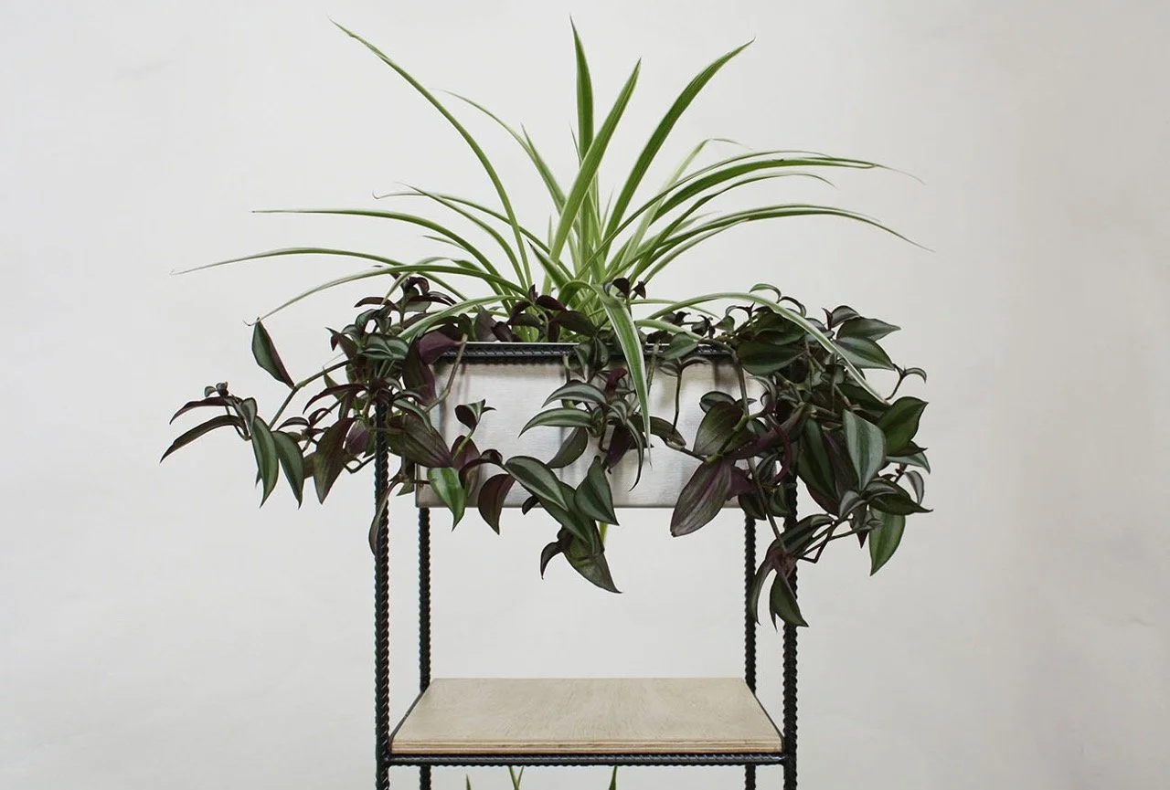 suporte Trinca 1x4 com vasos e prateleiras