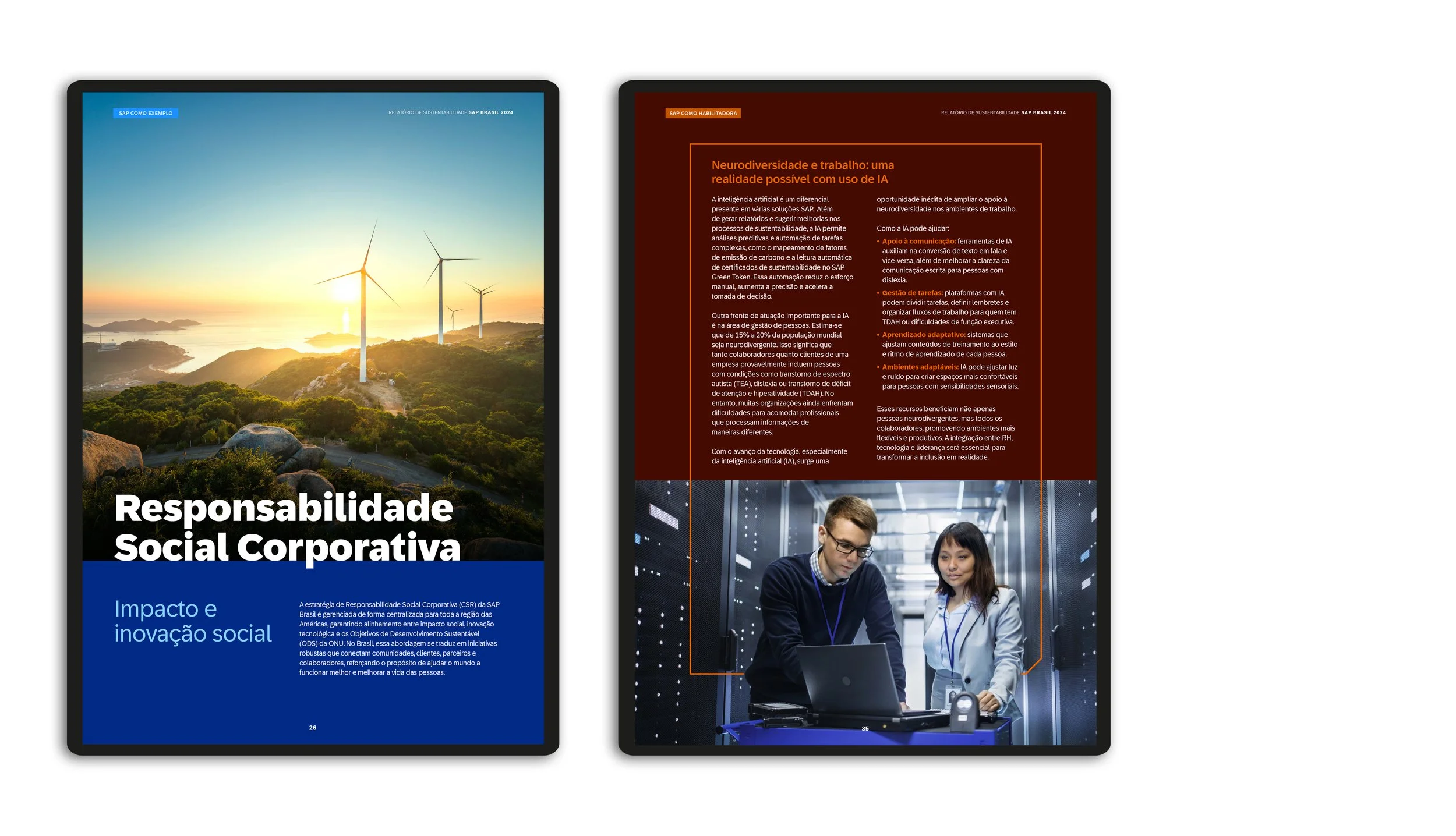 AleMarchesini_relatorio_SAP_2024_06.jpg