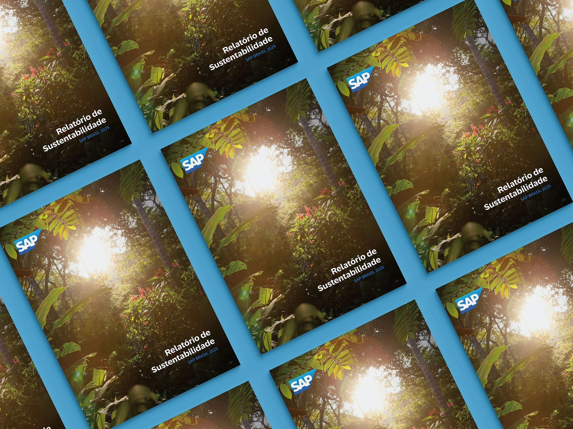 AleMarchesini_relatorio_SAP_2025_cover1.jpg